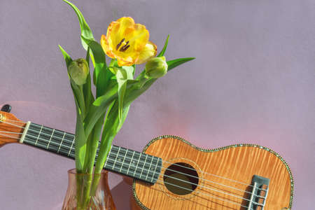A bouquet of beautiful tulips on a lilac background and a fragment of a musical instrument ukulele.