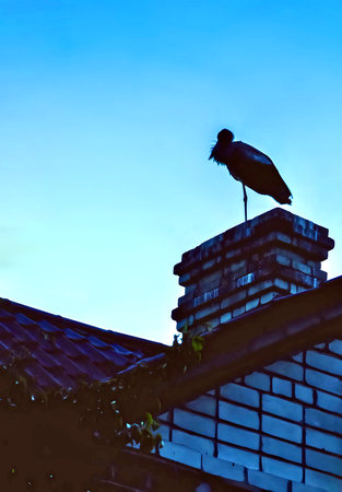 Silhouette of a stork on the roof of the houseの写真素材