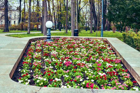 Flowerbed in the city park. Flowerbed in the city park.の写真素材