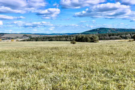 Landscape with a meadow, forest and blue sky with cloudsの写真素材
