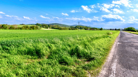 Countryside road and green meadow under blue sky with white cloudsの写真素材