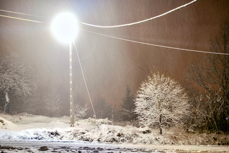 Winter landscape with snow covered trees and street lights in the city, Poland.の写真素材