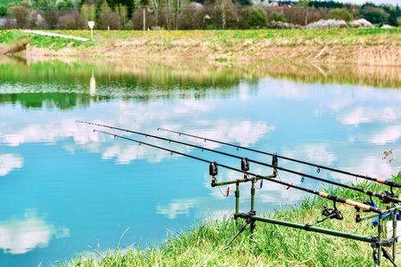Fishing rods on the bank of a pond in a sunny dayの写真素材