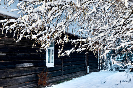 Wooden house in the village in winter. Snow covered trees.の写真素材