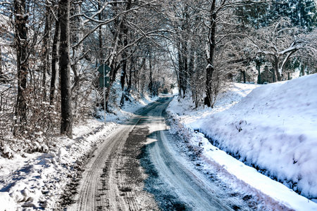 Winter road in the forest. Winter road in the forest. Winter road