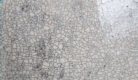 A crack pattern in the glaze of a ceramic plate.