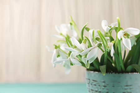 Spring bouquet of snowdrops on a wooden backgroundの写真素材