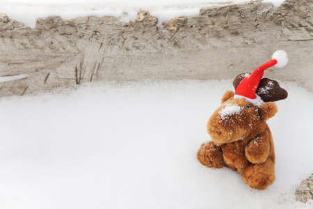 Toy deer on a snowy wood backgroundの写真素材