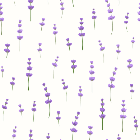 Sprigs of lavender on the light background. Vector.のイラスト素材