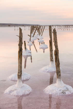A beautiful pink salt lake with healing mud. Kuyalnik. Ukraine.の写真素材