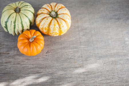 Three gourds on the grey wooden table, selective focus with copy space for the textの写真素材