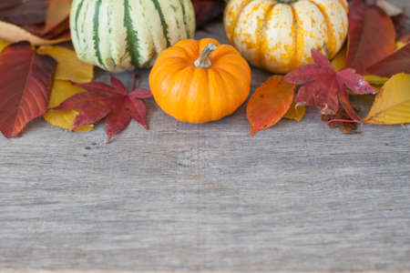 Three gourds with autumn leaves on the grey wooden table, selective focus;の写真素材