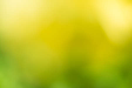 Abstract nature soft focus background with beautiful bokeh. Blurred green yellow backgroundの写真素材