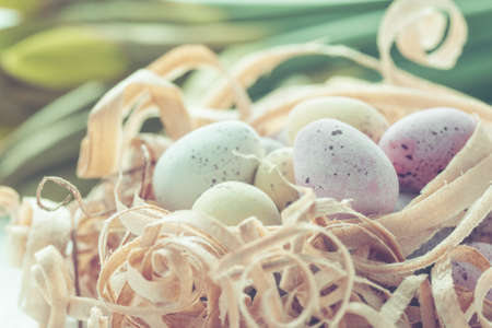 Coloured eggs in nest made from wood shavings close up, selective focus. Warm pastel toned photoの写真素材