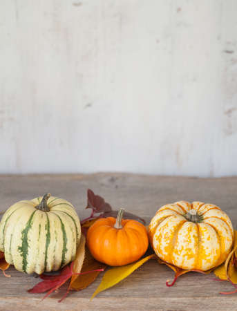 Three gourds with autumn leaves on the grey wooden table, selective focus; off white backgroundの写真素材