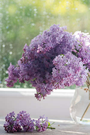 Lilac flowers in vase on windowの写真素材