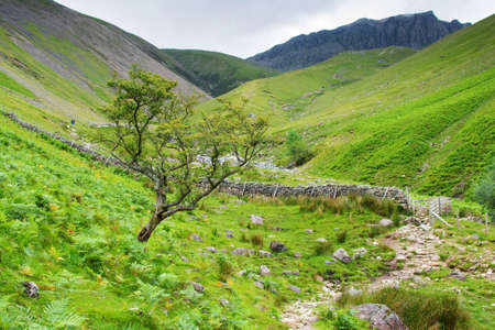 Views on the path to Scafell pike, the highest mountain in England, Lake District National Park, England, selective focusの写真素材