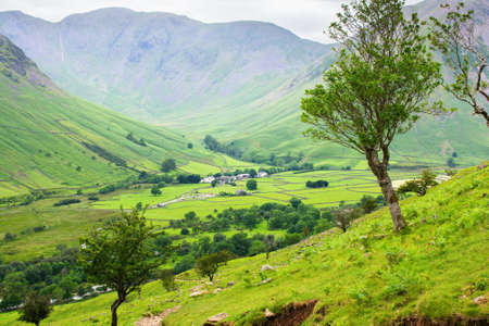 Green landscape.の写真素材