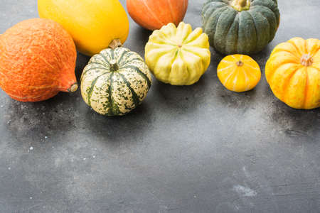 Different pumpkins and gourds on the dark grey background, copy space for text, selective focusの写真素材
