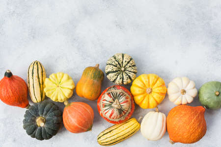 Different varieties of pumpkins and gourdsの写真素材