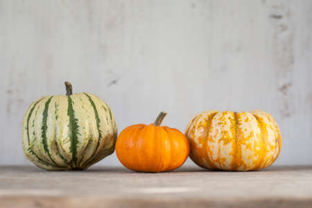 Three gourds on the grey wooden tableの写真素材