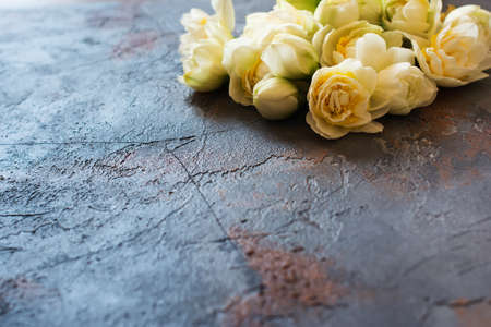 Cut daffodils on the grey stone backgroundの写真素材