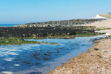 Undercliff coast walk in Saltdean, East Sussex, view of the sea in low tide, selective focus