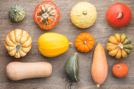 Overhead view of pumpkins and gourds on the dark grey wooden background arranged in a grid,...