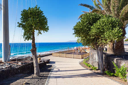 Puerto del Carmen beach in Lanzarote, Canary islands, Spain. blue sea, palm trees, selective focusの写真素材