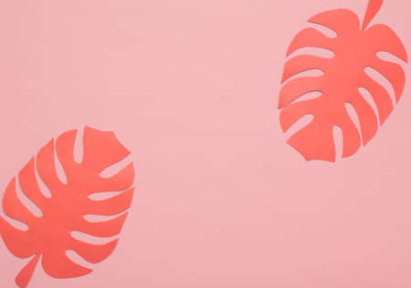 Paper cut tropical leaves in trendy living coral color on pink background, top viewの写真素材