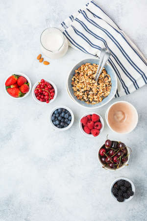 Raw vegan gluten and grain free paleo granola or muesli made from nuts served ti fruit berries, strawberries blueberries raspberries cherries red currant, top view, selective focusの写真素材