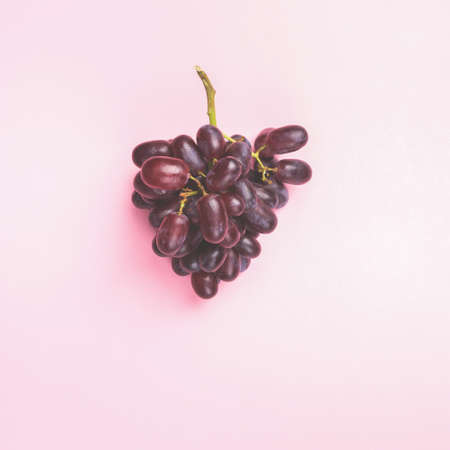 Bunch of grapes on pink background, top view, tonedの写真素材