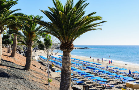 Puerto del Carmen beach beds and umbrellas, Lanzaroteのeditorial素材