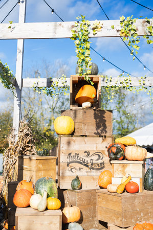 Crawley, United Kingdom - October 27 2022: Pick your own pumpkin farm at Tulleys farm, United Kingdom. Displayof different squashes, gourds and pumpkinsontop of the wooden boxes, selective focusのeditorial素材