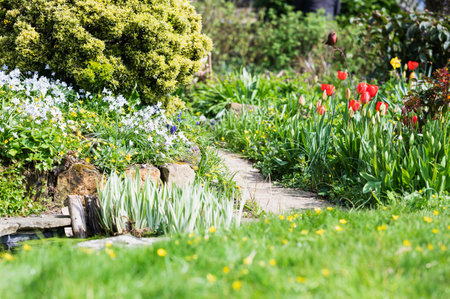 Close ups of the landscaped garden with the flowers and green grass, paved stone path, selective focusの写真素材