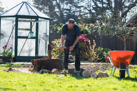 Man in a navy polo shirt is splitting logs in the garden, greenhouse on the background, orange...