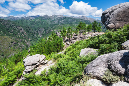 View from Fafiao viewpoint located on the top of parish of Cabril in Montalegre municipality, overlooking Geres Valley, Salamonde Dam (Vieira do Minho) and river, Portugalの写真素材