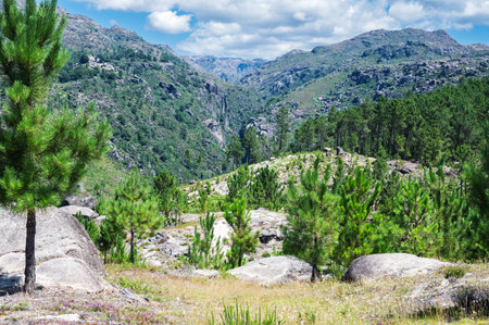 Landscapes of Peneda Geres National Park, North Portugal, view of the mountains, trees, selective focusの写真素材