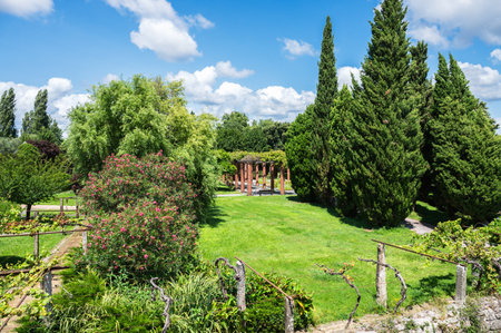A sunny garden landscape with cypress trees, flowering plants, and a wooden structure in the backgroundの写真素材