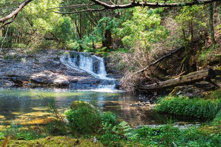Pincho Waterfall near Viana do Castelo, Northern Portugal. View of the flowing water and beautiful lagoon, in the woodsの写真素材