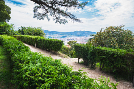 Park Monte del Castro, park located on a hill in Vigo, the biggest city in Galicia Region, in the North of Spain. Trees, paths, selective focusの写真素材