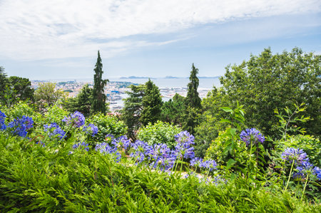 Park Monte del Castro, park located on a hill in Vigo, the biggest city in Galicia Region, in the North of Spain. Trees, paths, selective focusの写真素材