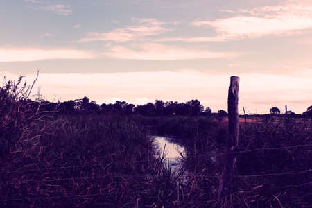 Weribee open range zoo in Melbourneの写真素材