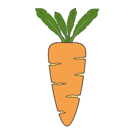 Orange carrot with green leaf top. Vegetables in flat styleのイラスト素材
