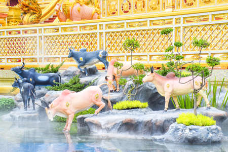 The Cows in the Fairy Tale of Asiaの写真素材