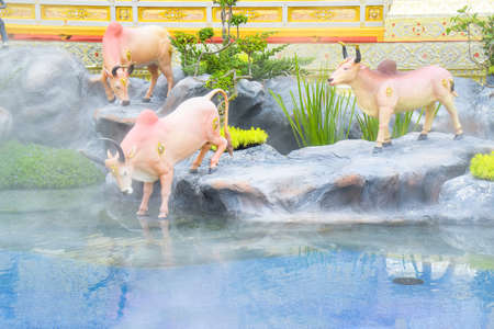 The Cows in the Fairy Tale of Asiaの写真素材