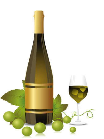 white background with Champagne bottle, glass with grapesvine theme vector fopr celebrationのイラスト素材