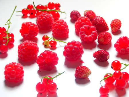 different red berries on a white backgroundの写真素材