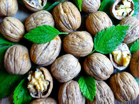 an unusual combination of walnuts and lemon balm leavesの写真素材