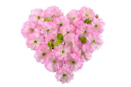 Heart of flowersの写真素材